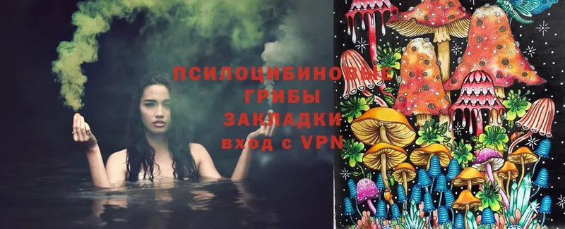 Псилоцибиновые грибы прущие грибы  blacksprut   Звенигово 